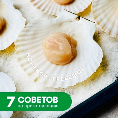 7 советов по приготовлению морского гребешка | Быстро, просто и вкусно